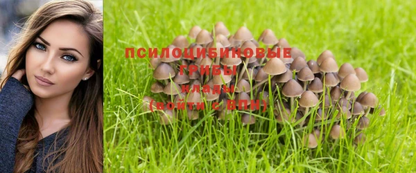 mix Баксан
