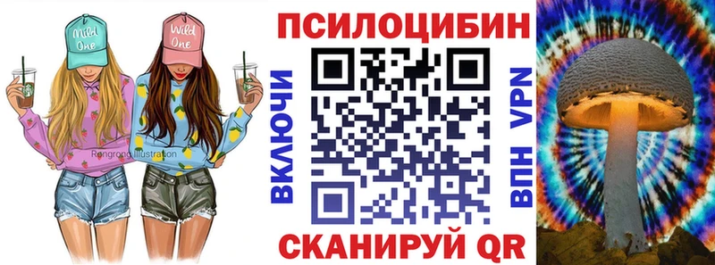 где найти наркотики  kraken как зайти  Псилоцибиновые грибы Psilocybine cubensis  Кушва 